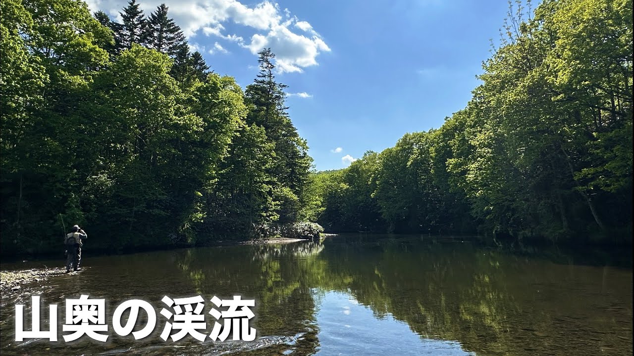 初夏の渓流セミ修行ランランツアー