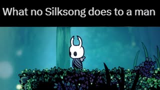 The Hollow Knight Community is a Bit Silly...