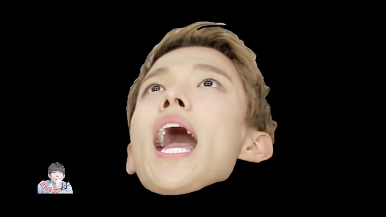 SEVENTEEN EXPECTATIONS VS REALITY (ALL MEMBERS)