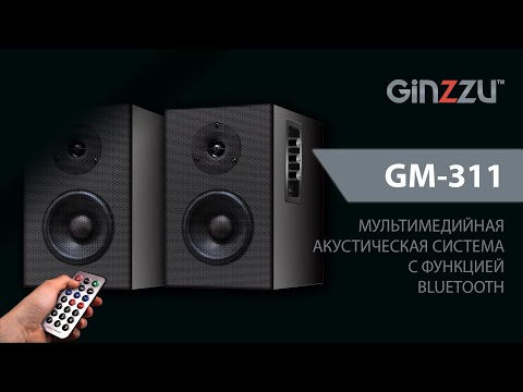 Распаковка (unboxing) на мультимедийную акустическую систему 2.0 от GINZZU. Model- GM-311.