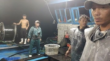 Tàu 969 Thả lưới trúng mánh được mẻ cá và mực anh em làm cả đêm không ngủ #danbien #cuocsongdanbien