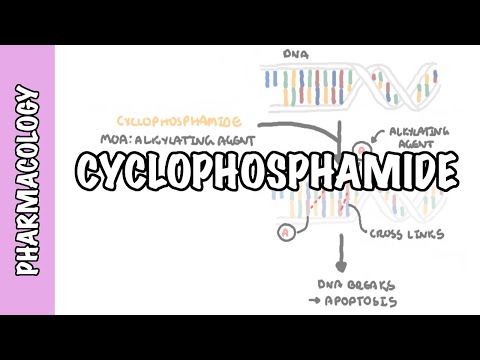 Cyclophosphamide - pharmacology, mechanism of action, adverse effects