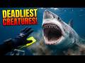 30 Deadliest Creatures In The Ocean