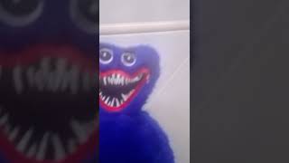 Comprei Meu Huggy Wuggy De Pelúcia