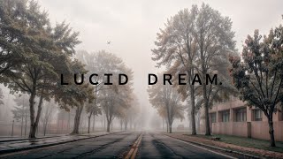 lucid dream.