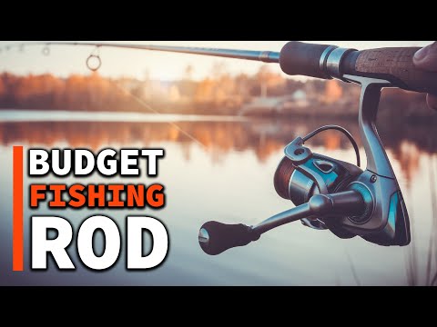 Top 10 Best Budget Fishing Rod On  2023 