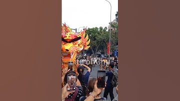 Vỡ òa niềm vui vì được chạm tay vào cụ rồng trong buổi diễu hành mừng lễ Nguyên Tiêu ở TPHCM.