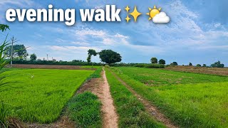 Silent Evening Walk in Village Fields 🌾🌿 | Cool Breeze & Nature Sounds | 4K Walking Video 