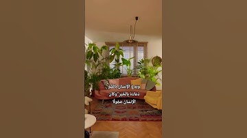 #راحة_نفسية #المصحف #قران_كريم #المنشاوي #تلاوة_خاشعة