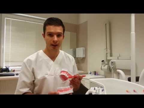 Burnos higiena namuose | Burnos higienisto patarimai | Altadenta