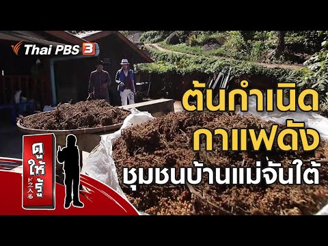 ชุมชนบ้านแม่จันใต้ ต้นกำเนิดกาแฟดังระดับโลก : รู้ให้ลึกเรื่องญี่ปุ่น