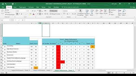 Using the DDD Subject Performance Report