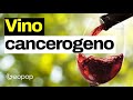 Siamo sicuri che bere vino rosso faccia bene alla nostra salute? Facciamo chiarezza
