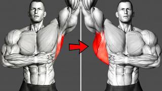 5 Back Exercises That Transform Beginners FAST