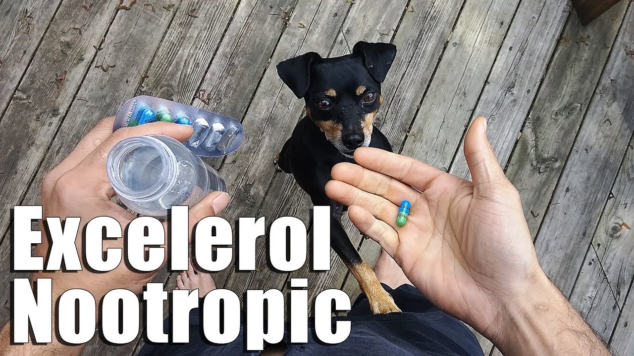 Enhanced Focus and Concentration | Excelerol Nootropics Review