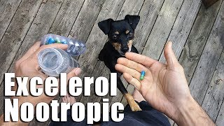 Enhanced Focus And Concentration Excelerol Nootropics Review