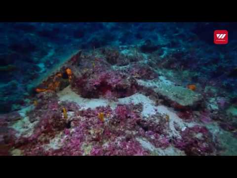 3,600-year-old shipwreck discovered in Turkey | VTV World | Published on Apr 10, 2019