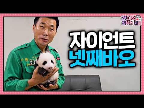 (SUB) 할부지의 대왕 말랑이를 소개합니다☁️💞  |  전지적 할부지 시점 ep.270 thumbnail