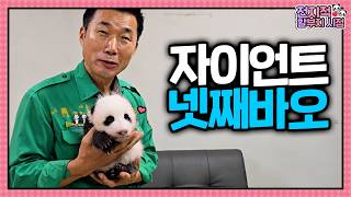 Introducing Grandfather's Giant Squishy☁️💞 | Omniscient Grandpa's View ep.270