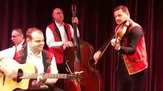 Filmhuis Zevenaar  2017