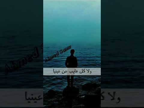 اجمل حالات الواتس اب HD حالة مش كل واحد عمرو دياب 