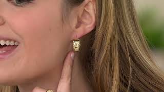 Diamonique Italia Link Band Ring or Huggie Hoop on QVC