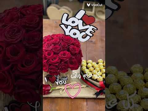 كل عام وانت حبيبي