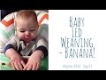 Baby Led Weaning - Have a Banana (and broccoli, courgette and pasta!)