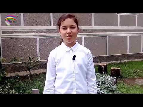 დღის ამბები 29.09.2018