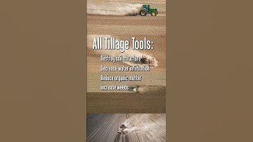 Tillage vs No-Till: How No-Till Increases Organic Matter, Water Efficiency and Crop Yields