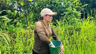 Fertilizing the fields and attending to various household chores