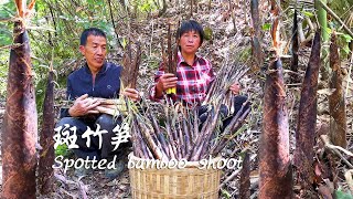 There are bamboo shoots everywhere, break one with each hand, and pickle