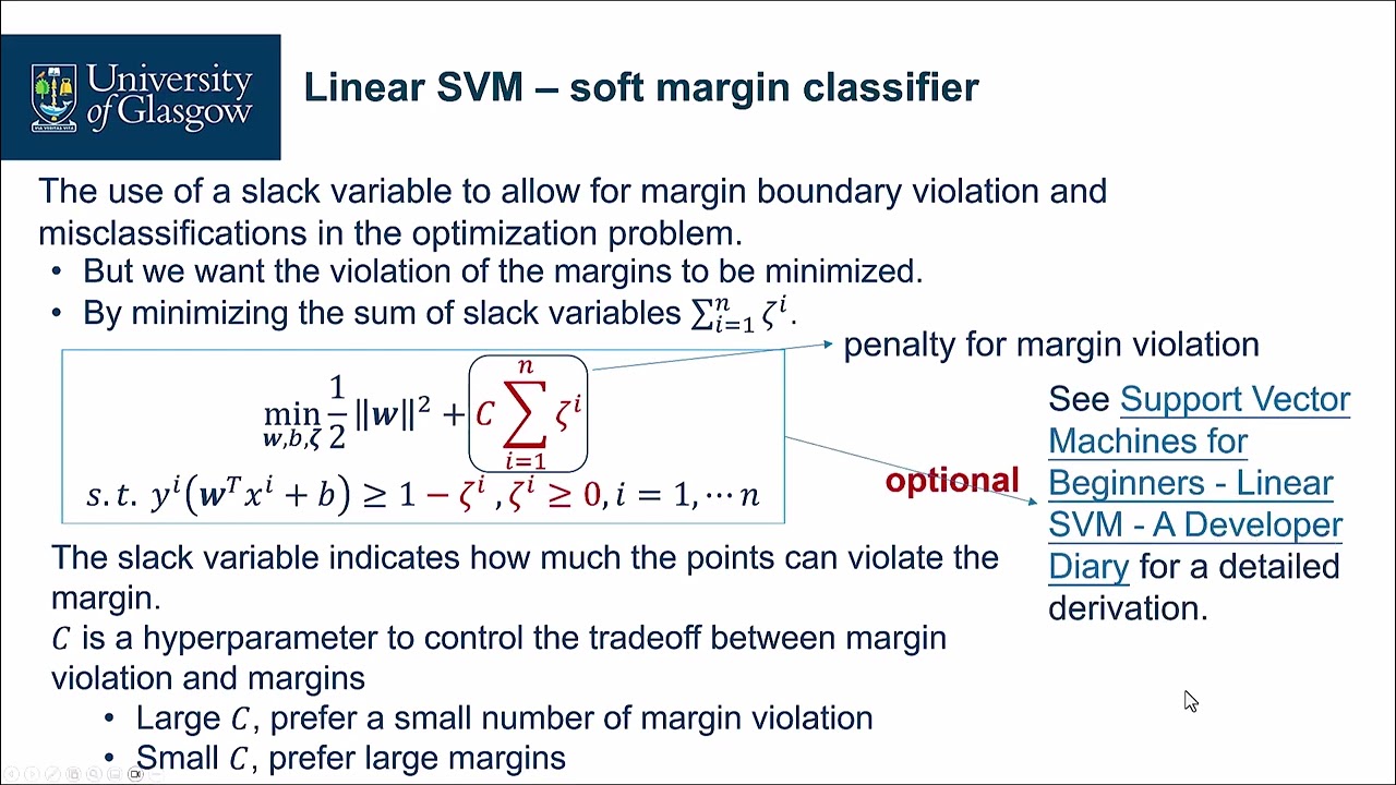 030 - Support Vector Machines： Linear SVM of Soft Margin Classifier