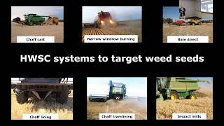 The Australian Weed Control Revolution