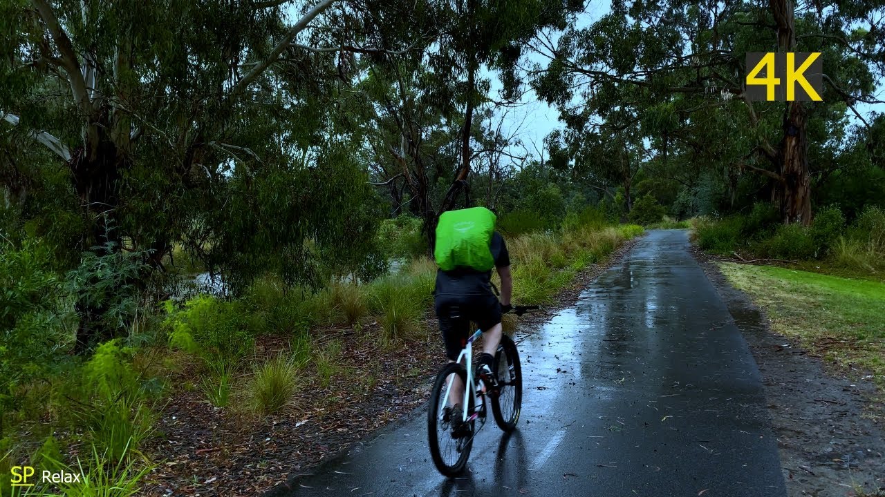 Relaxing Walk in Binaural Rain on Umbrella Sounds 【4K】 - YouTube