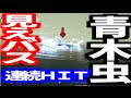 バス釣り　青木虫パターンで見えバス連続ＨＩＴ！！