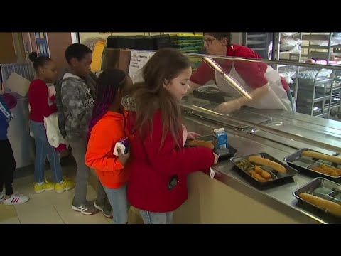 Should all students continue to receive free and reduced lunches?