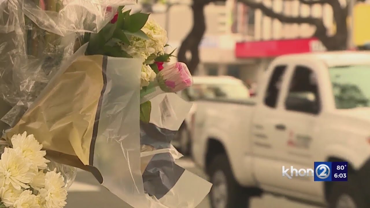 Suspect involved in deadly hit-and-run of student back in court - YouTube