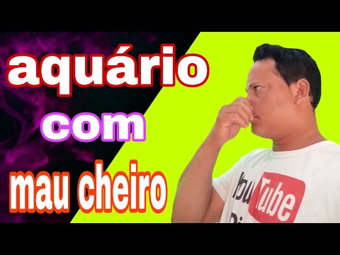 Vídeo: Como Lidar Com O Odor Em Um Aquário