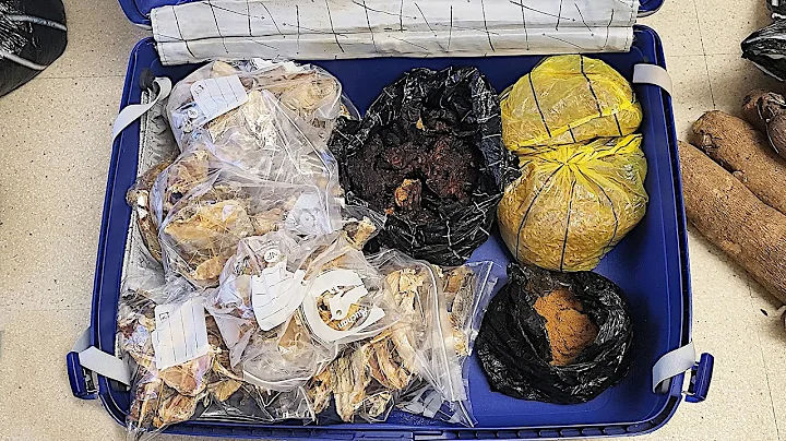 BEFORE YOU TRAVEL ABROAD WITH NIGERIAN FOOD