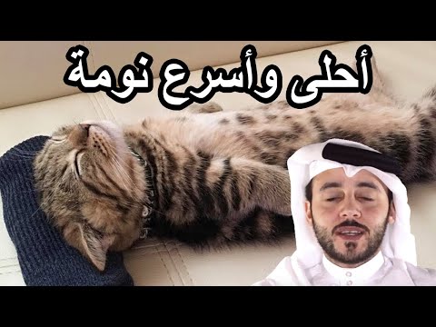 كيف انام الليل واحبابي بعاد