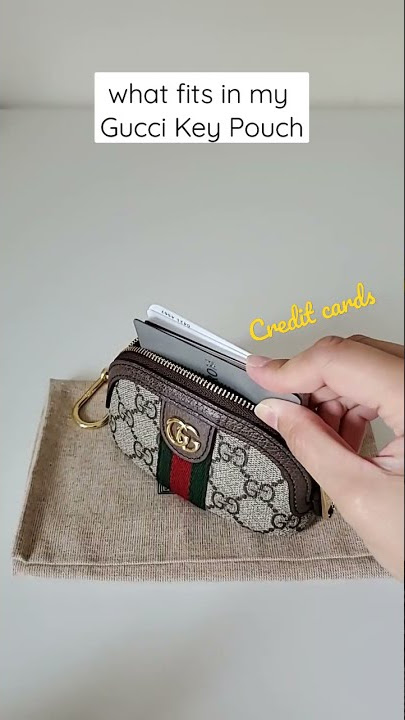 louis vuitton key pouch what fits｜TikTok Search