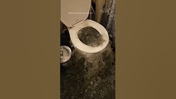 Toilet overflows and floods apartment in Ottawa #shorts