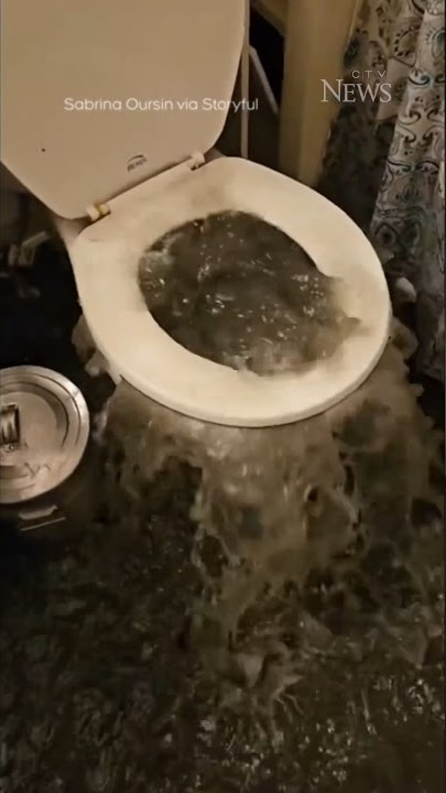 Toilet overflows and floods apartment in Ottawa #shorts