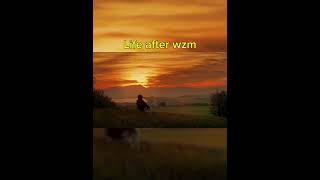 Life was perfect #callofduty #wzm #shorts