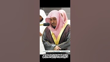 سورة الأنعام #ياسر_الدوسري 