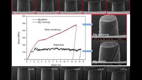 Twinning-induced strain hardening by Mg alloy - 【In-Situ Micro pillar compression test inside SEM】