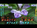 大阪流転(大阪變遷)2012(日語~三門忠司+翻譯)銘哥翻唱
