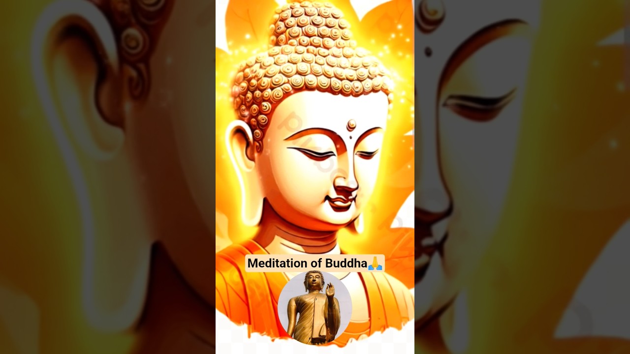 Meditation of Buddha 🙏 