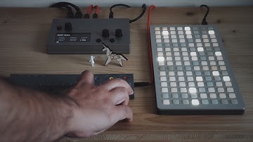 Monome Norns + Grid (Cheat-Codes 2) and Teenage Engineering OP-Z